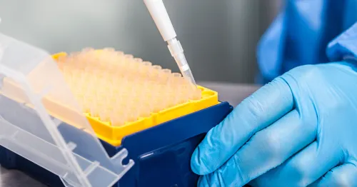 What Are Pipette Tips Used For?